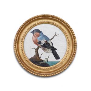 Large Framed Micromosaic Plaque With A Bull Finch. Rome, Circa. 1800.