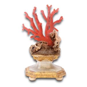Red Coral ‘tree’ On A Baroque Gilt-wood Base. Italian, Late 19th Century.