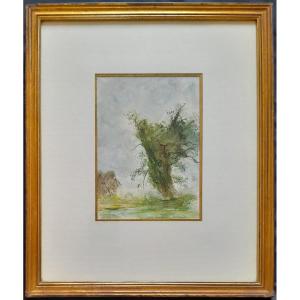 Paysage à l'arbre - Paul Belmondo