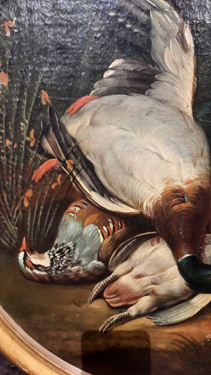 Pair Of Paintings "still Life With Pheasant And Hare"-photo-2