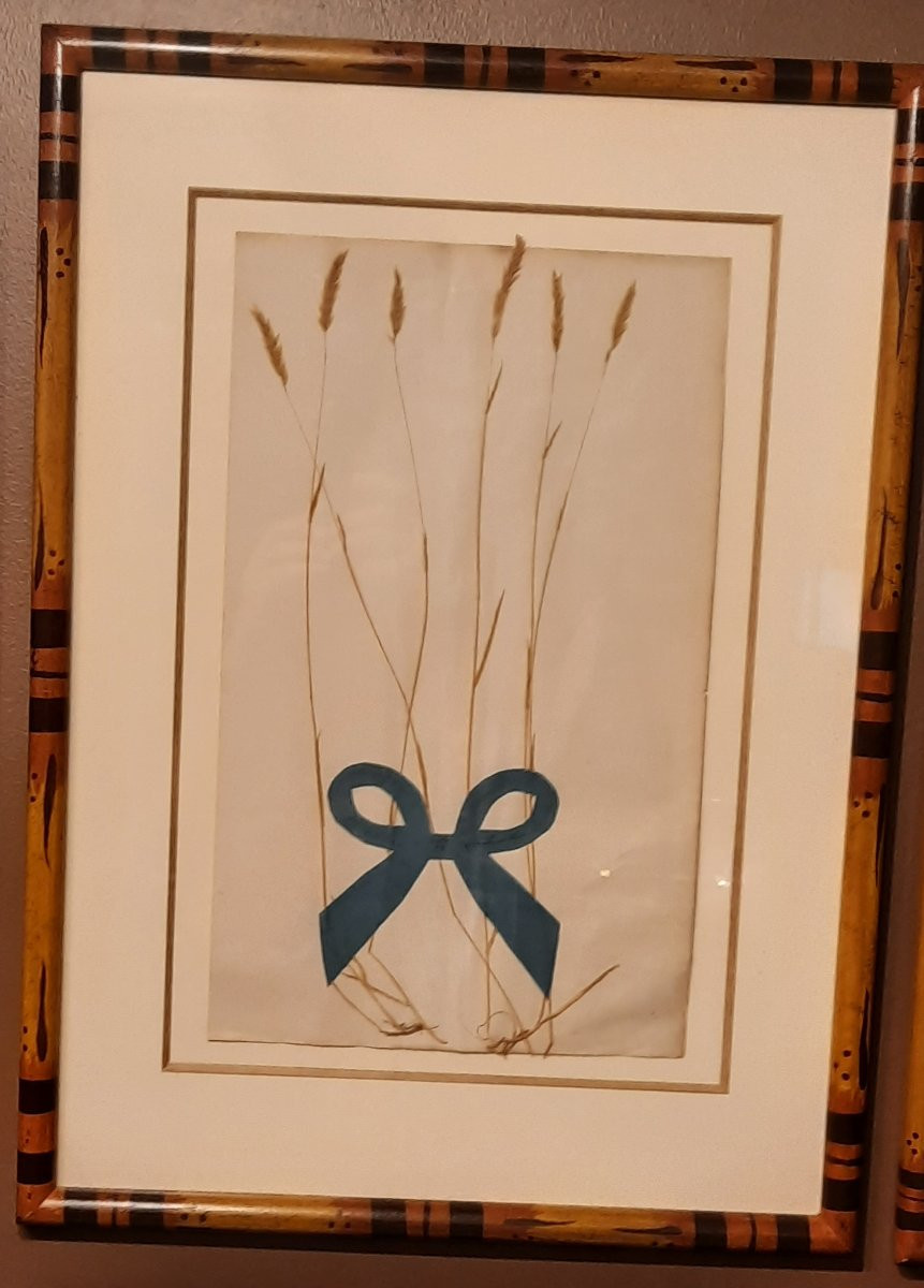 Set Of 10 Framed Bamboo-style Herbariums -photo-7