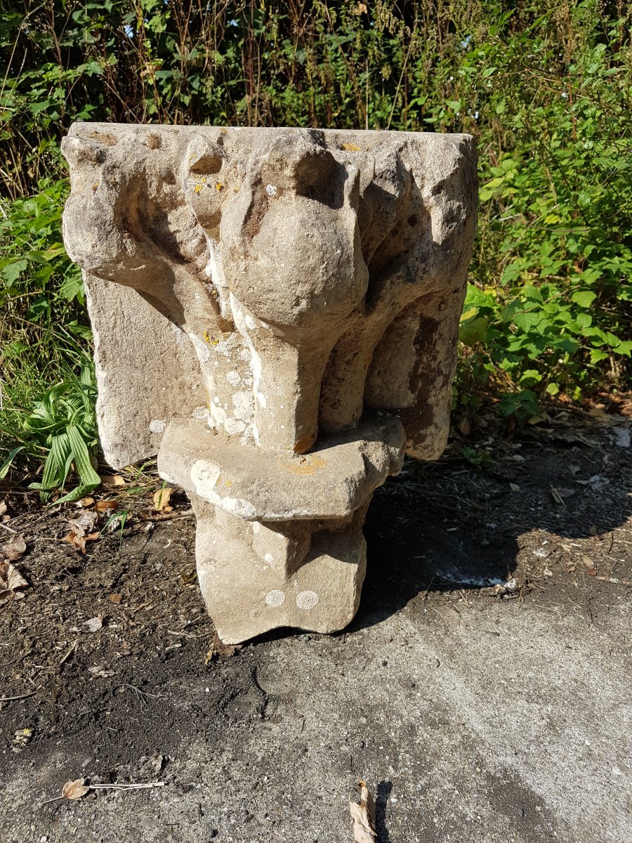 Gothic Capitals In Carved Stone Foliage-photo-5