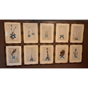 Ensemble de 10 herbiers encadrés façon bambou 