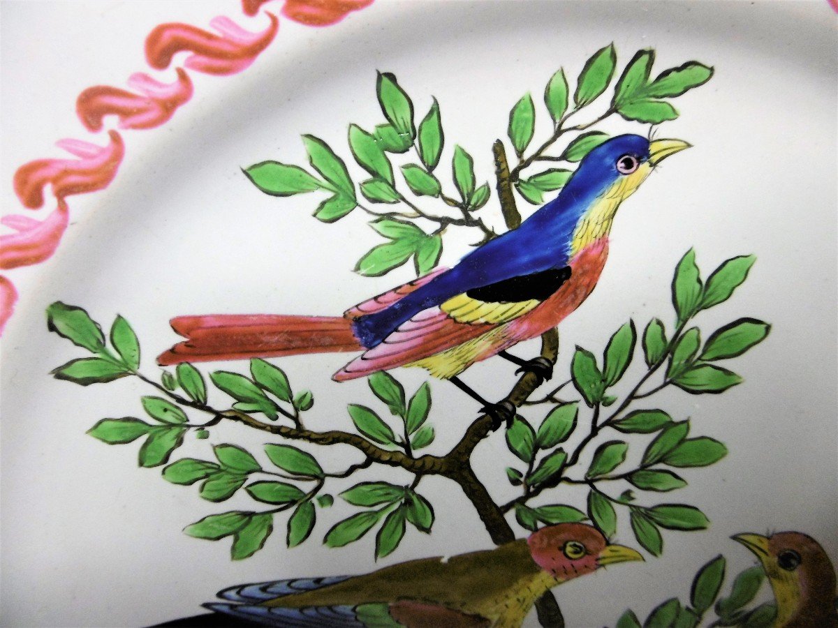 Faience des Islettes Periode Dupre Plat Aux Oiseaux Imaginaires d'Epoque XVIIIéme Siecle-photo-4