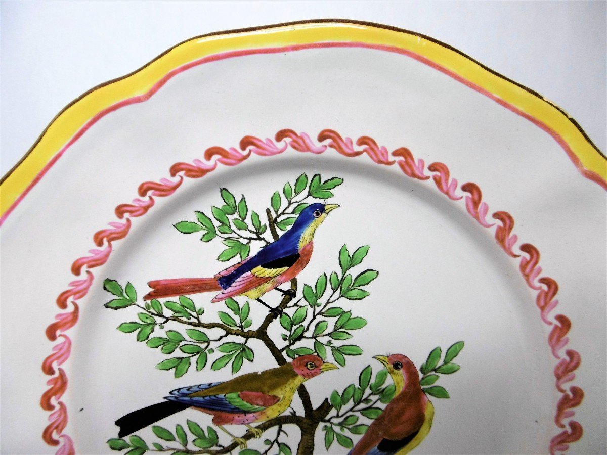 Faience des Islettes Periode Dupre Plat Aux Oiseaux Imaginaires d'Epoque XVIIIéme Siecle-photo-3