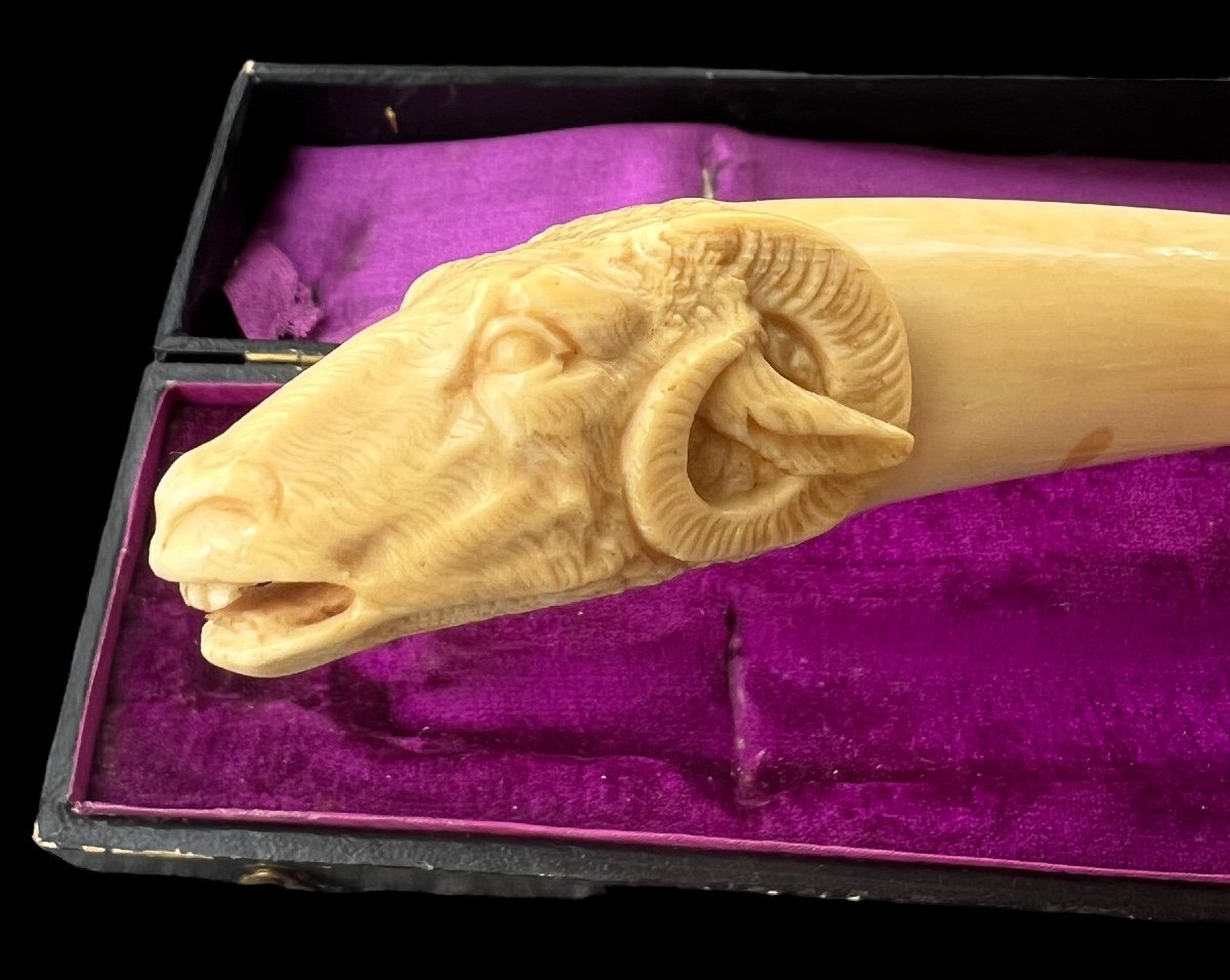 Exceptional Leg Handle With A Sculpted Ram's Head - France - 19th Century-photo-2