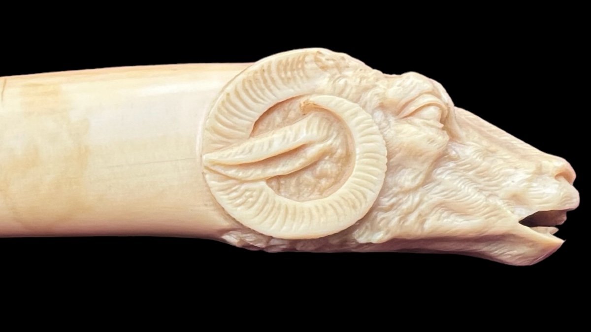  Leg Handle With A Sculpted Ram's Head - France - 19th Century-photo-5