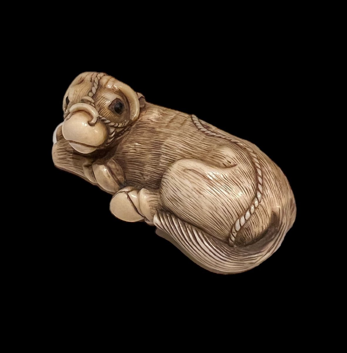 Very Beautiful Japanese Netsuke Representing A Lying Cow - Early 19th Century - Meji Period