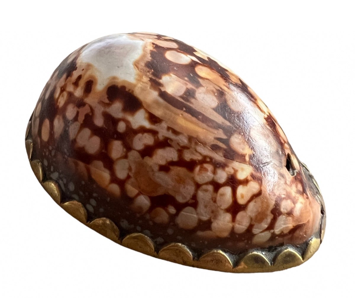 Snuffbox In Shell And Brass 'voc' - East India Company - 18th Century-photo-1