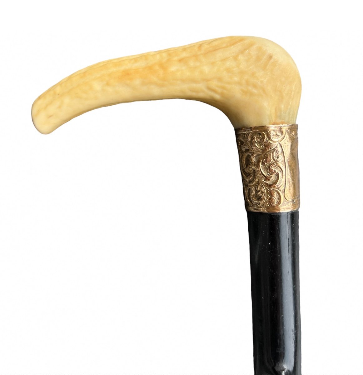 Heavy Ebony Cane With Gold (gilt?) And Deer Horn Handle - Late 19th Century-photo-1