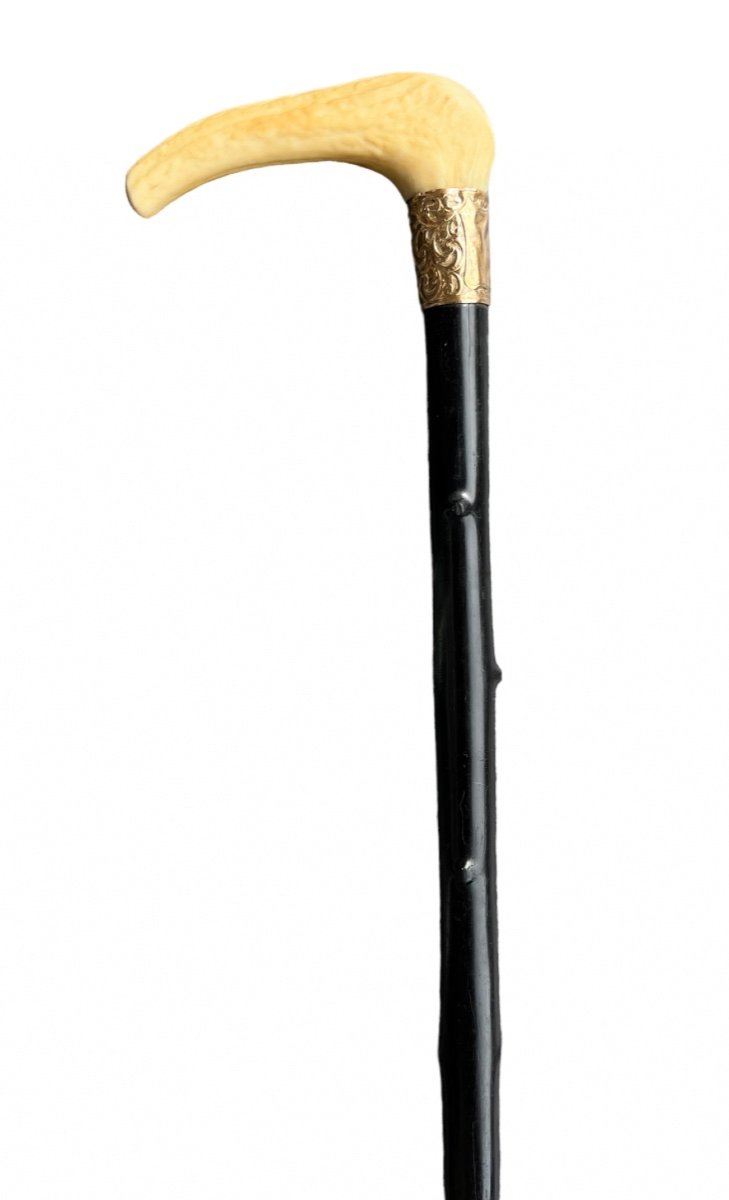 Heavy Ebony Cane With Gold (gilt?) And Deer Horn Handle - Late 19th Century