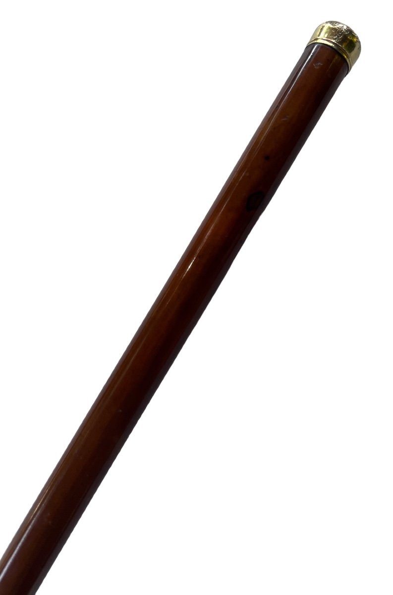 Canne En Bois Tropique Avec Petit Pommeau En Or - 19e Siècle-photo-3