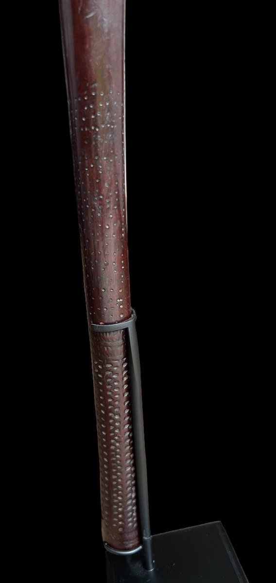 Superb Wooden "ula" War Club - Fiji Islands - 19th Century-photo-4