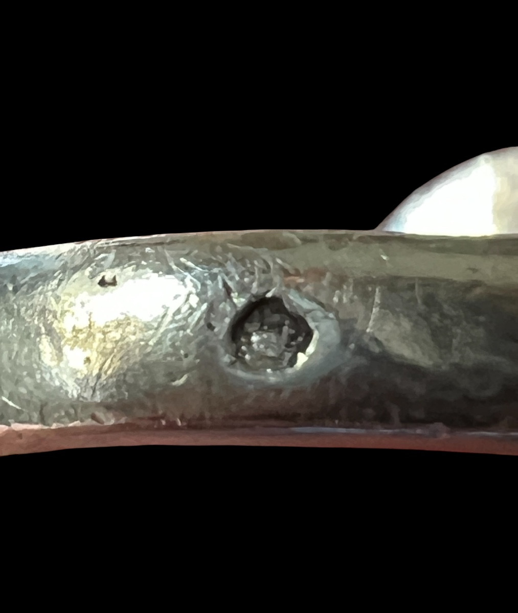 Bague Chevalière En Argent Avec La Tête De Napoleon Bonaparte En Relief - France - 19e Siècle-photo-2