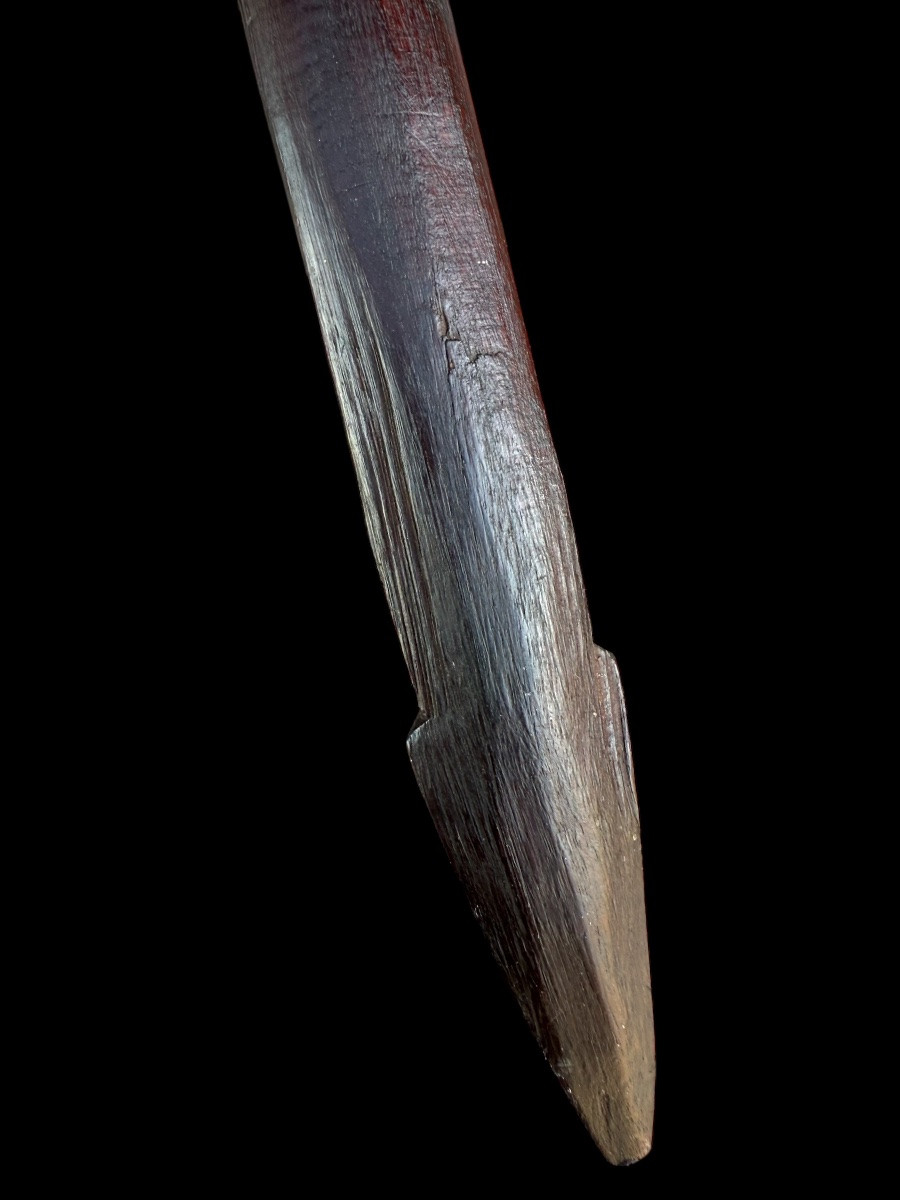 Massue de guerre/club en bois du art Océanie - Îles Salomon - début 20e siècle-photo-5