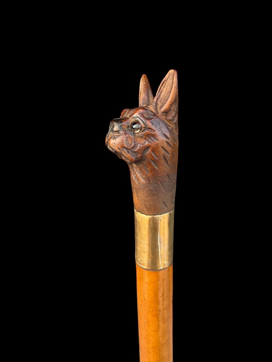 Wooden Cane With Gilded Metal And Carved Dog's Head – Folk Art – Early 20th Century-photo-1