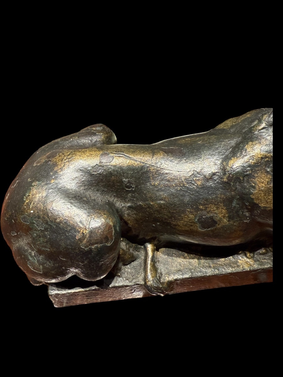 Une paire de lions en fonte ‘Souvenir de Grand-Tour’ - Italie - 19e siècle-photo-3