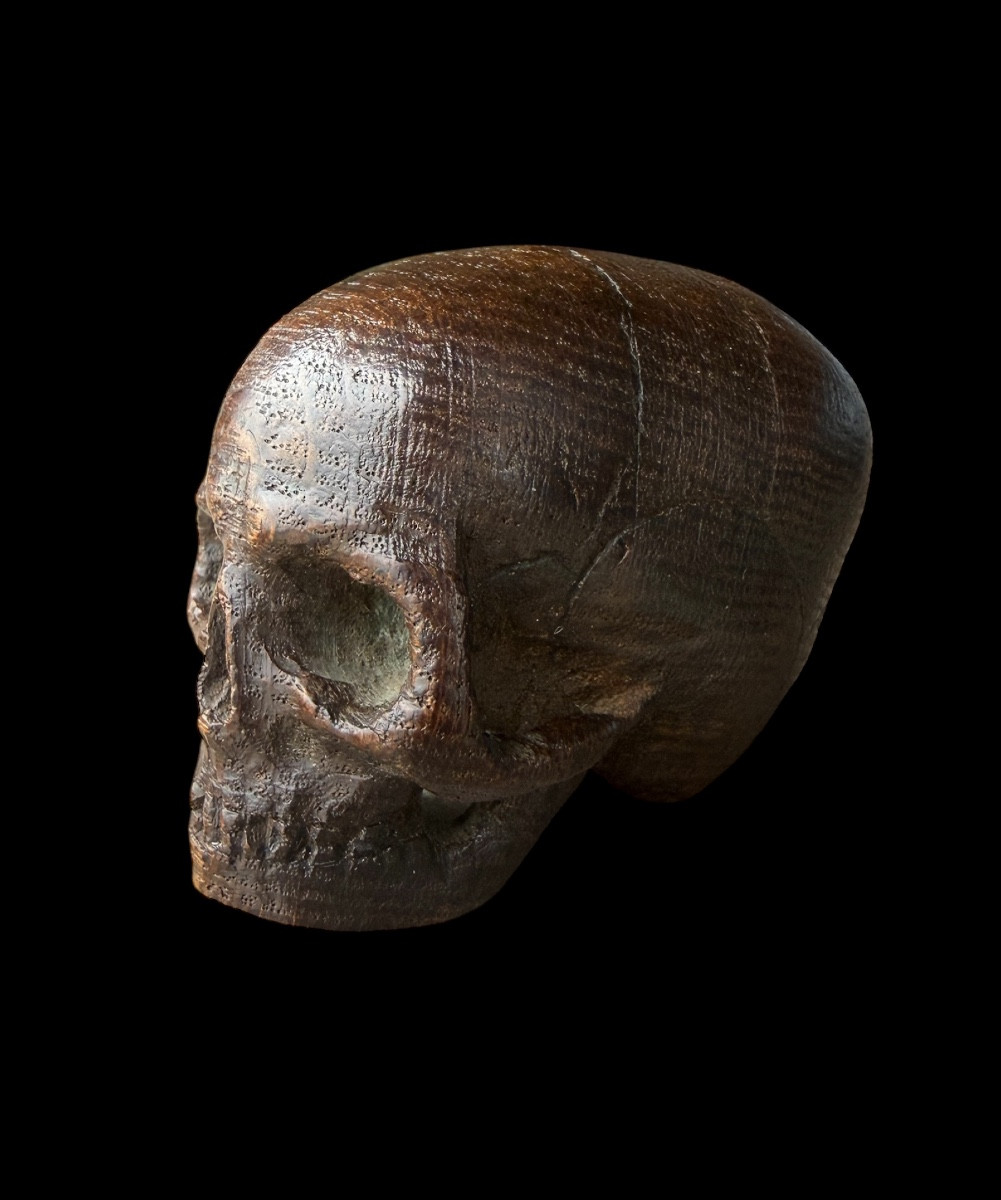 Crâne en bois ‘Memento Mori’ - Allemagne/France - 18e siècle