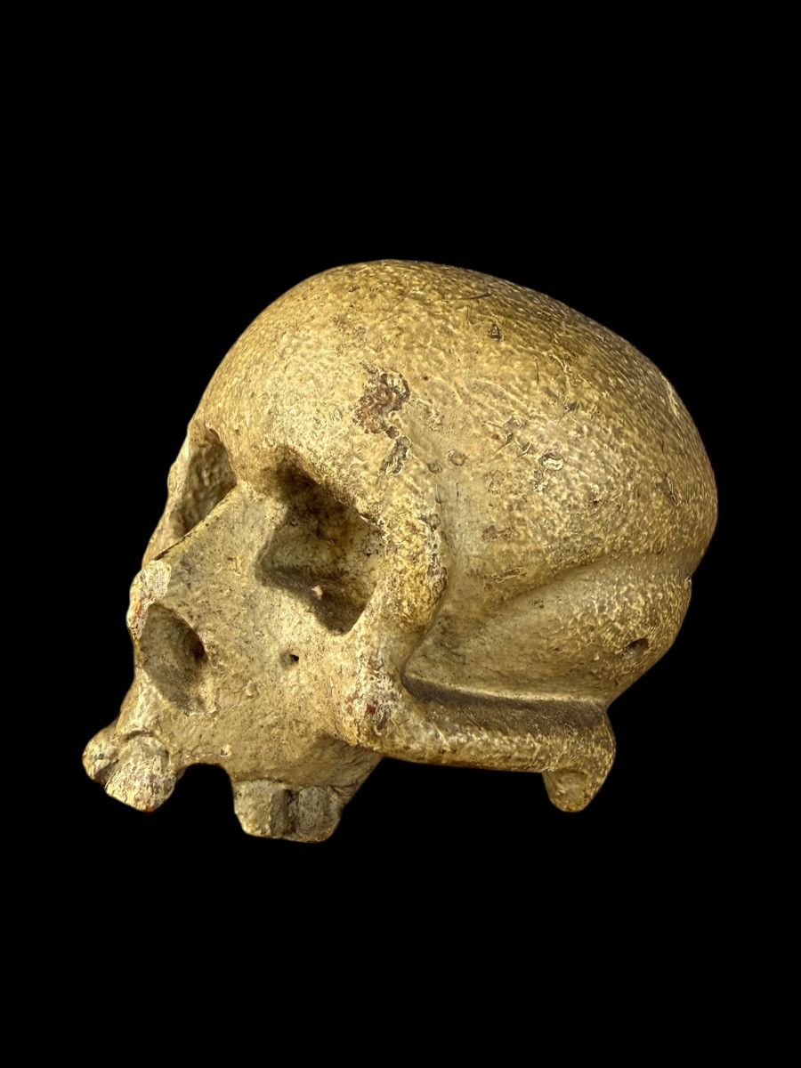 'memento Mori' Skull In Carved And Polychrome Wood - European - 18th Century-photo-1