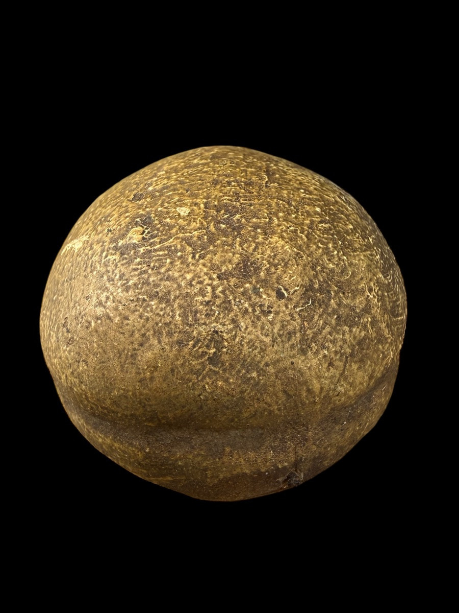 'memento Mori' Skull In Carved And Polychrome Wood - European - 18th Century-photo-3