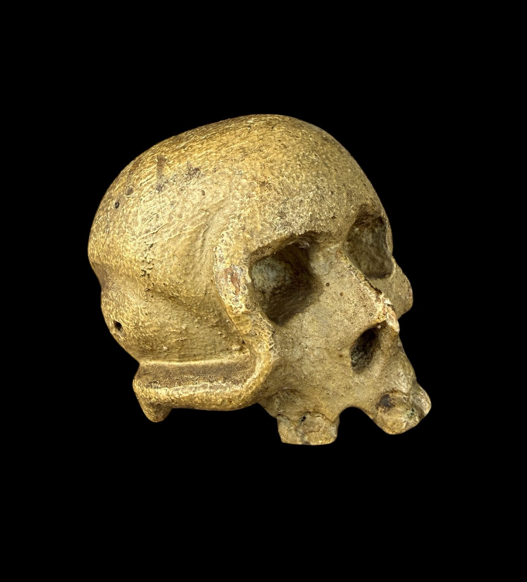 'memento Mori' Skull In Carved And Polychrome Wood - European - 18th Century