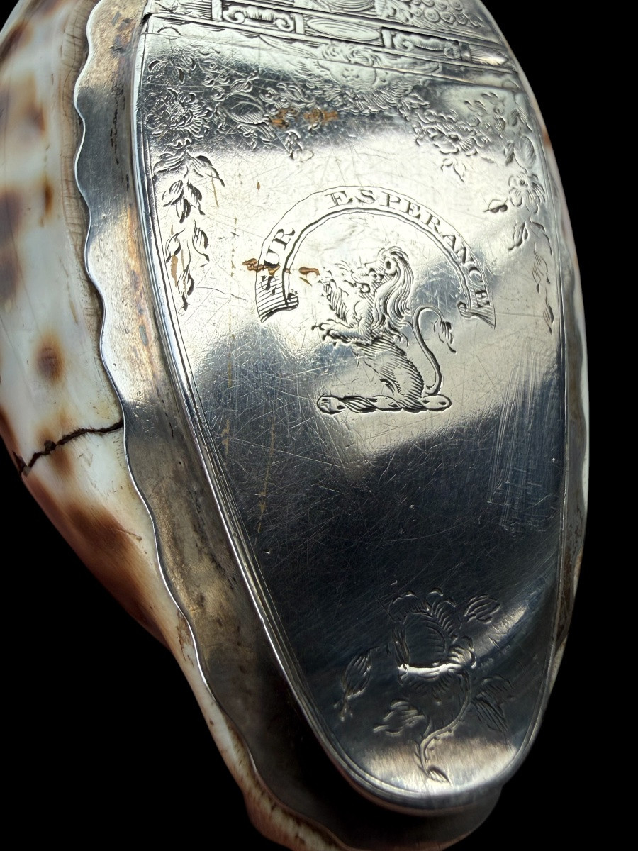 Boîte de tabac/tabatière en coquillage et argent massif - Écossais - 18e siècle-photo-1