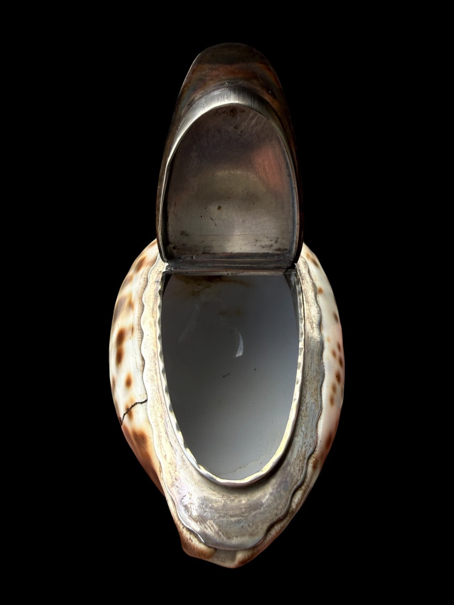 Boîte de tabac/tabatière en coquillage et argent massif - Écossais - 18e siècle-photo-5
