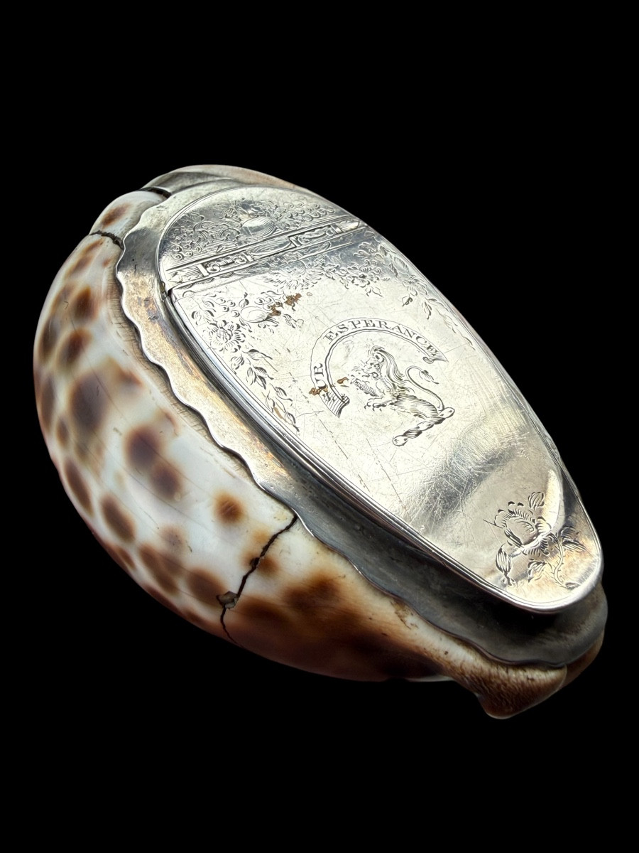 Boîte de tabac/tabatière en coquillage et argent massif - Écossais - 18e siècle