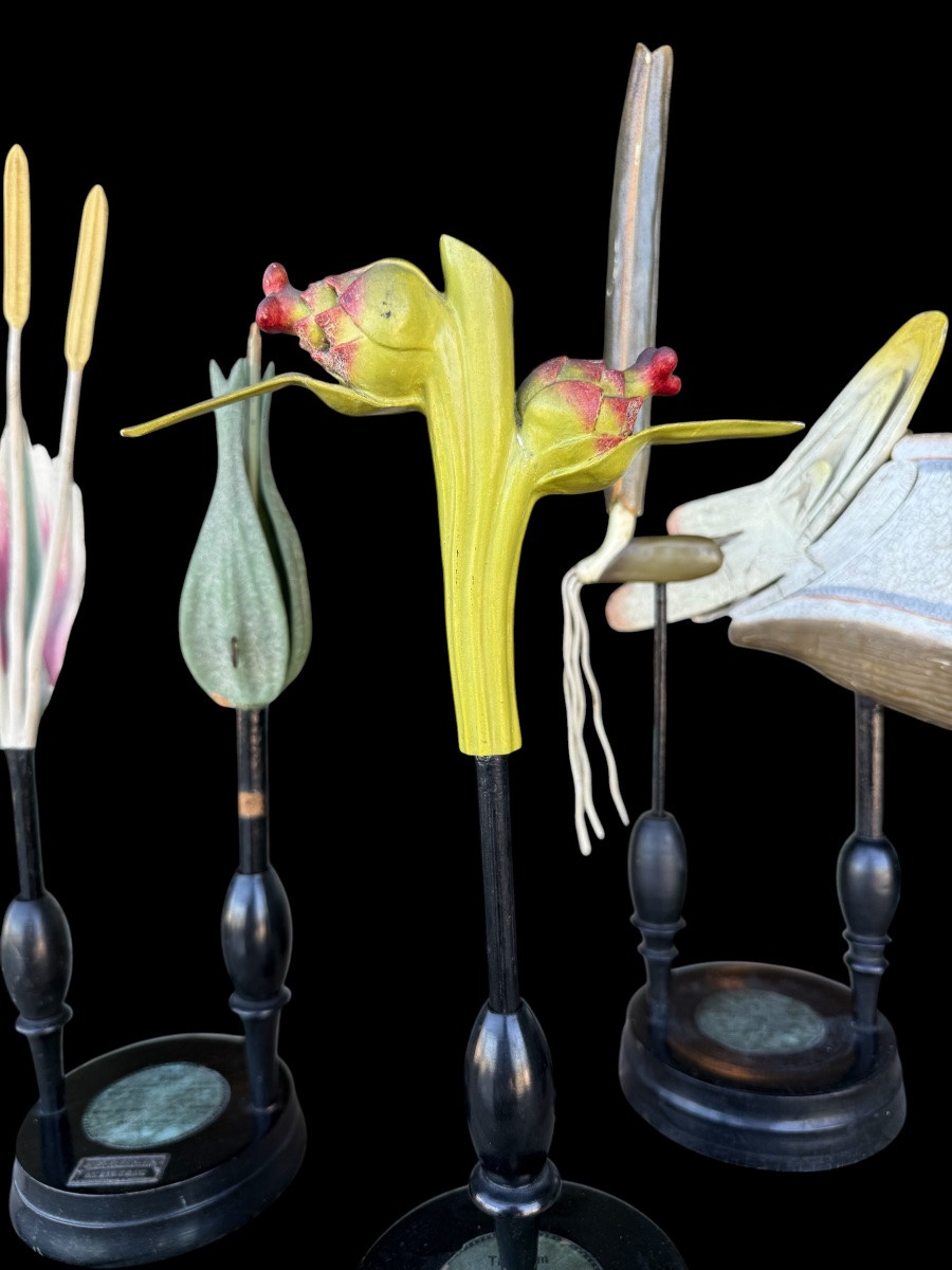 Set Of 3 Pedagogical Botanical Models By Robert Brendel - Circa. 1900-photo-1