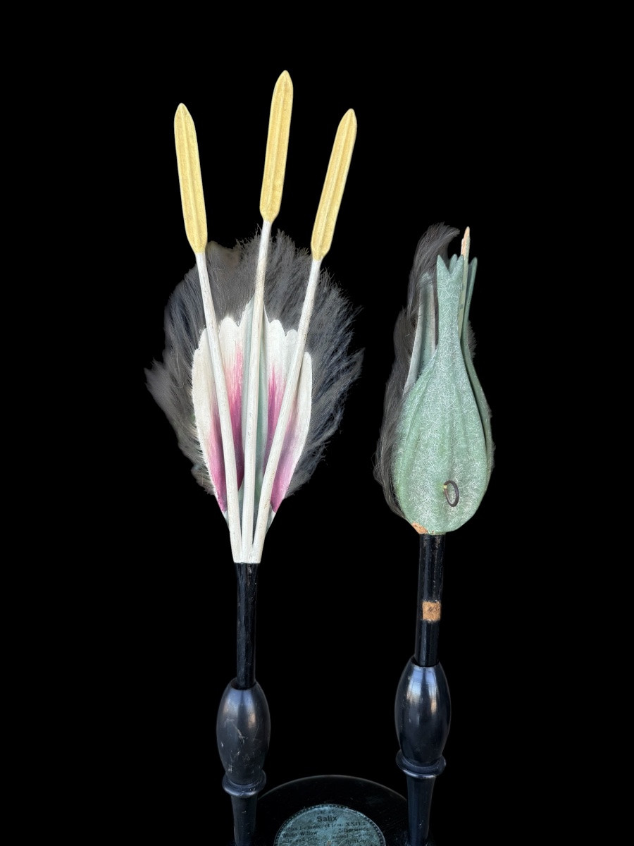 Set Of 3 Pedagogical Botanical Models By Robert Brendel - Circa. 1900-photo-2