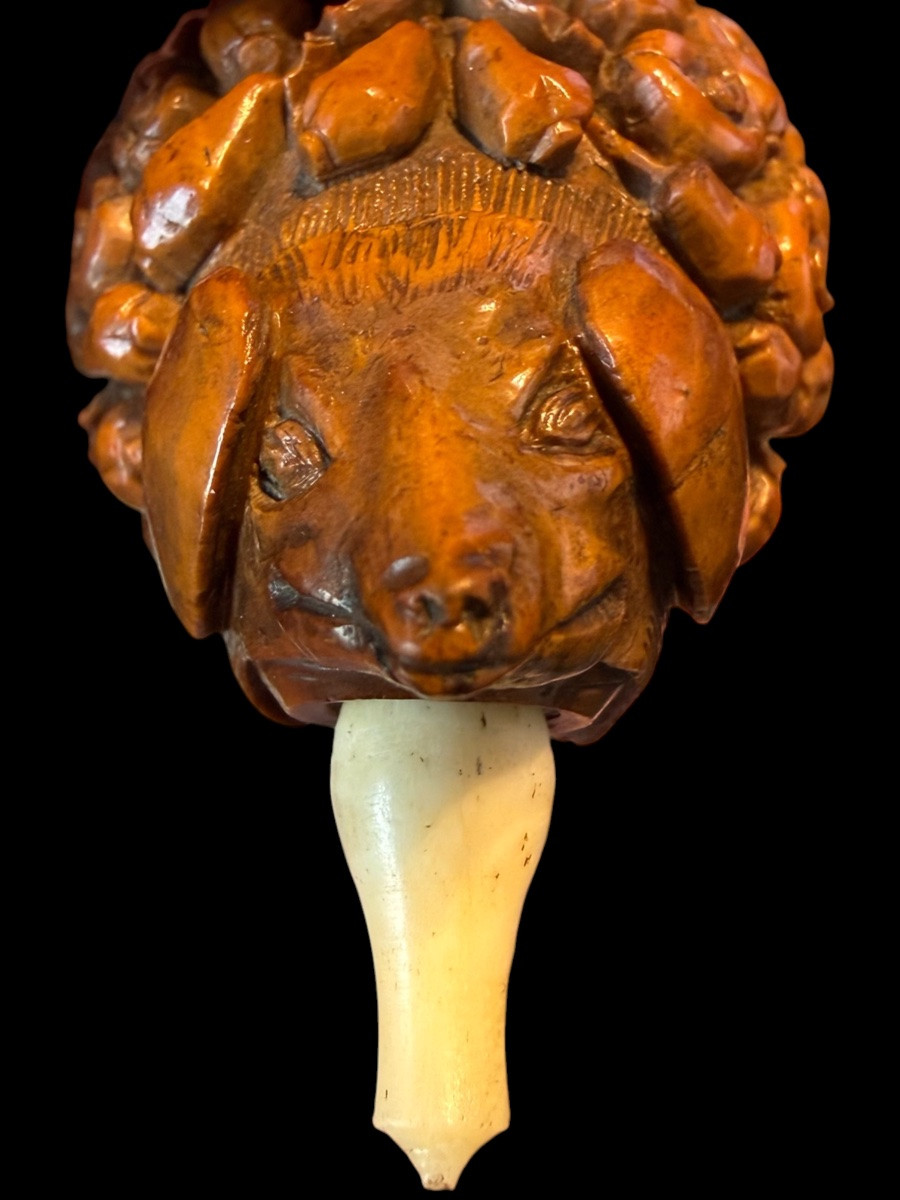 Tobacco Box/tabatière In Corozo Walnut -france - Early 19th Century-photo-4