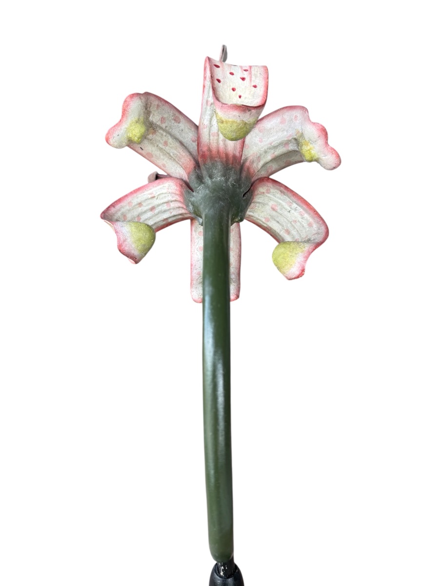 Educational Botanical Model “lilium” By Robert Brendel – Germany – Circa 1900-photo-4