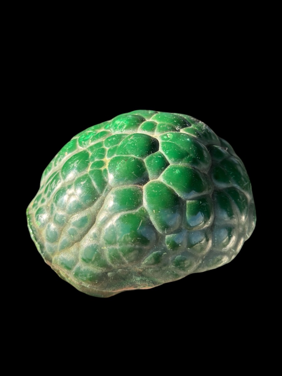 Malachite polie en forme de cerveau - Afrique, Katanga 