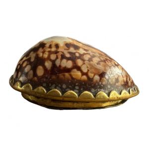 Snuffbox In Shell And Brass 'voc' - East India Company - 18th Century