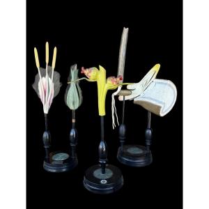 Set Of 3 Pedagogical Botanical Models By Robert Brendel - Circa. 1900