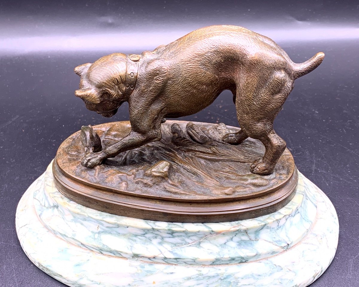 Bronze Ancien Chien Jouant Avec Une Souris, 19eme -photo-2