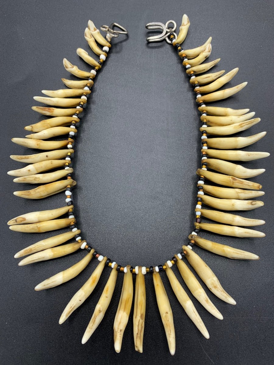 Old Animal Tooth Necklace, Papua, New Guinea-photo-4