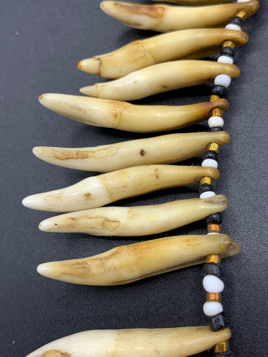 Old Animal Tooth Necklace, Papua, New Guinea-photo-2