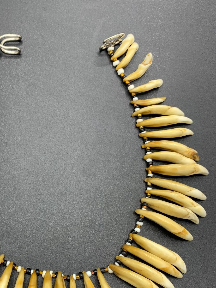 Old Animal Tooth Necklace, Papua, New Guinea-photo-3