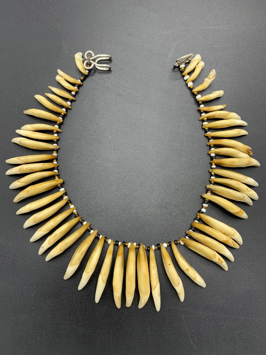 Old Animal Tooth Necklace, Papua, New Guinea