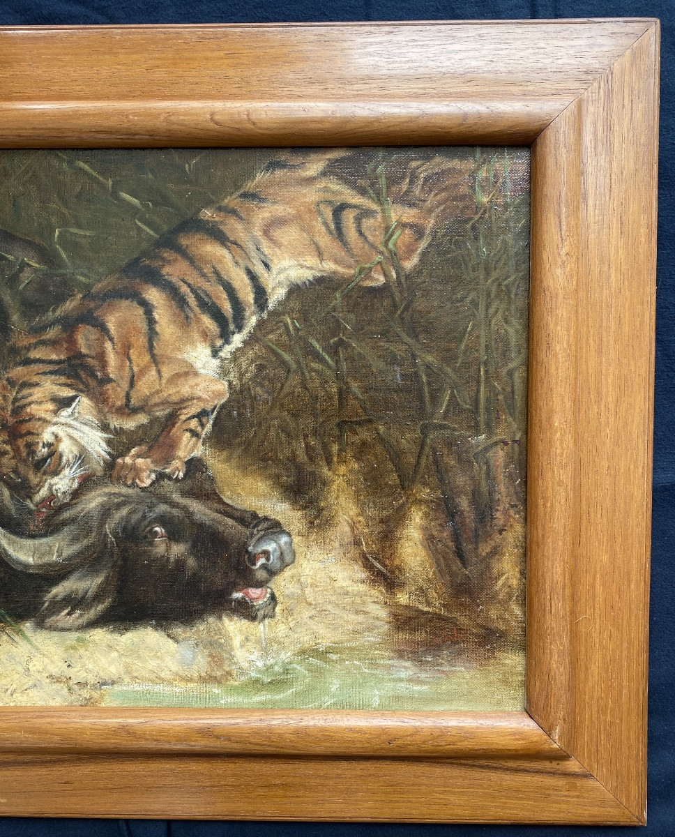 Tableau huile sur toile Buffle surpris par un tigre , fin 19eme. , Charles Verlat -photo-4