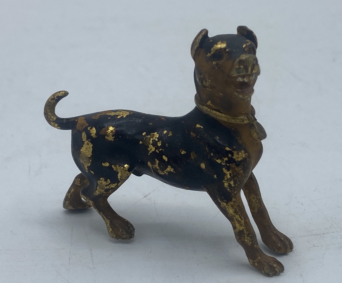 Chien en bronze de vienne , 19eme -photo-2