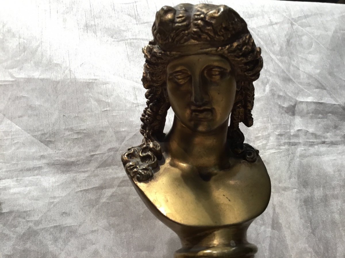Paire De Bustes Bronze Sur Colonnes Marbre Rouge XIXeme-photo-4