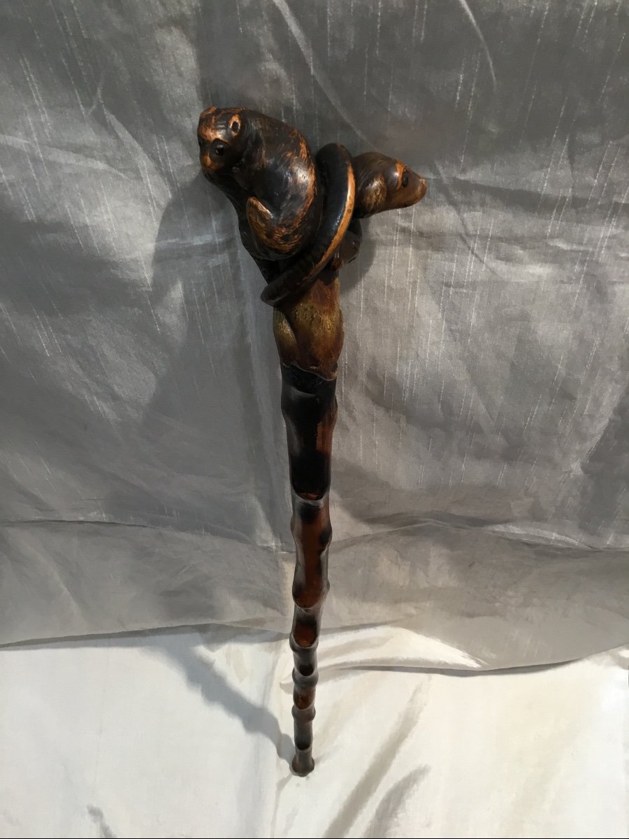 19th Century Carved Wood Cane: Dog, Snake And Weasel-photo-2