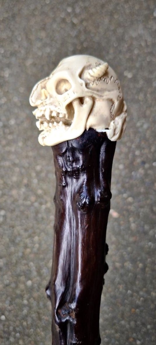 Vanity Cane-photo-4