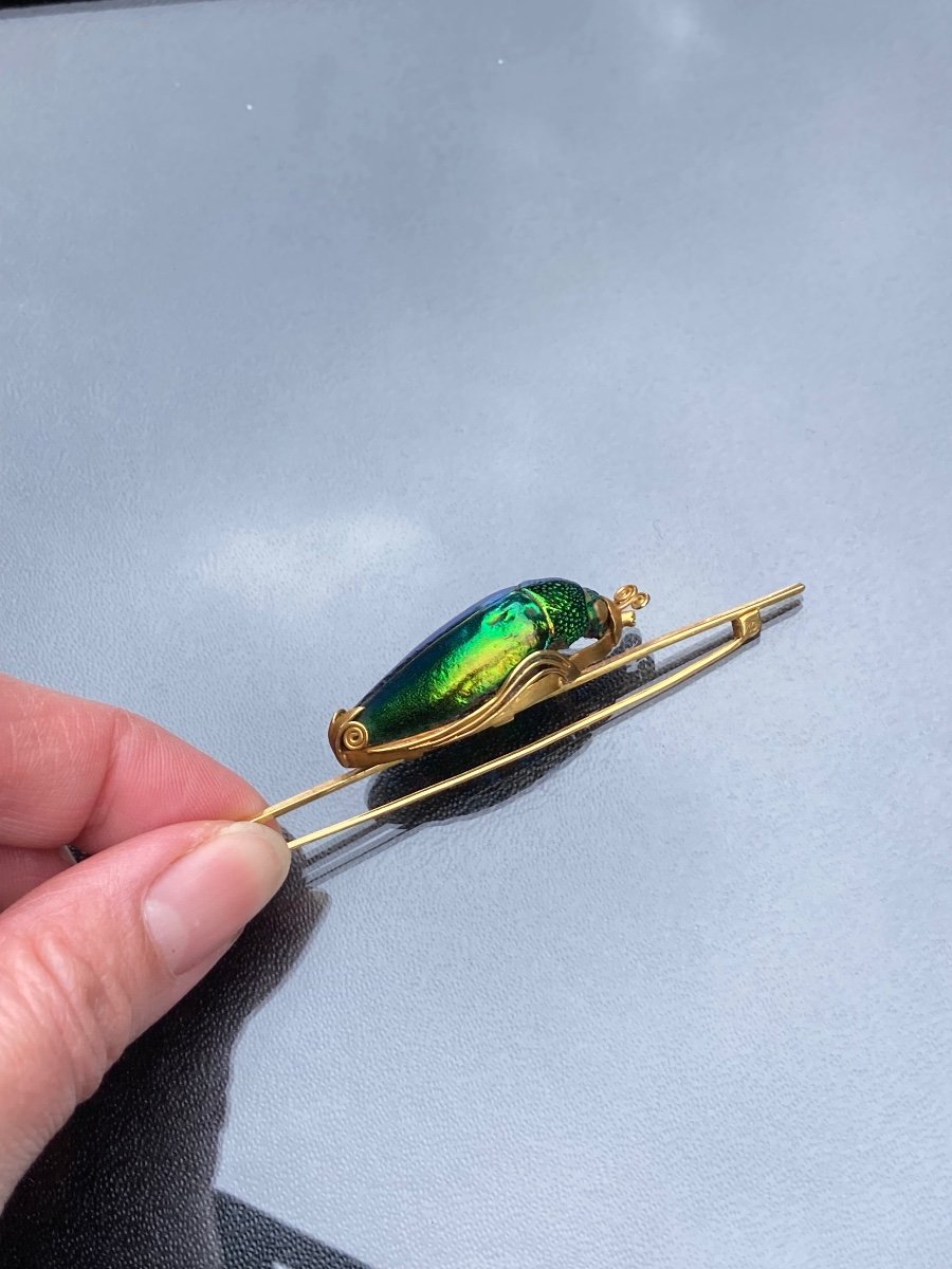 Gold Scarab Brooch -photo-2