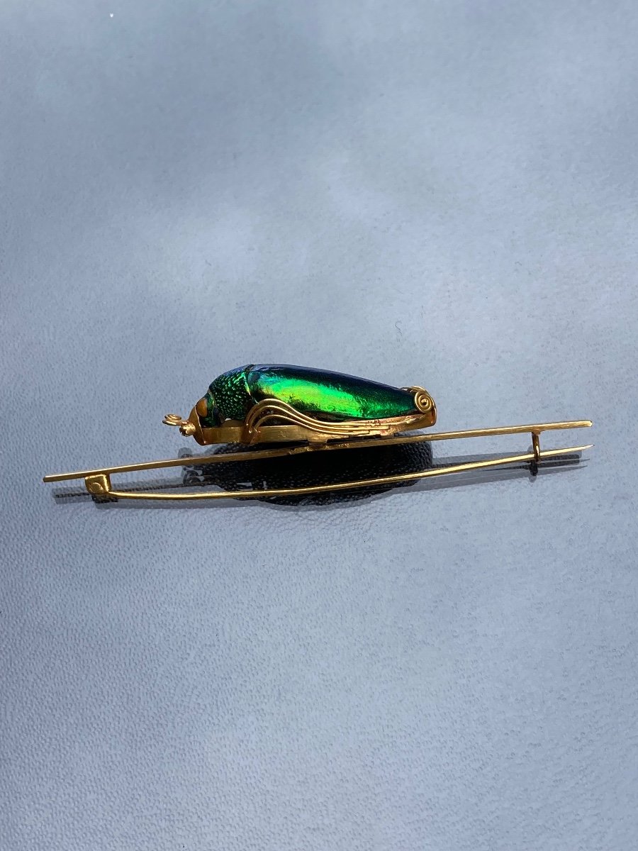 Gold Scarab Brooch -photo-3
