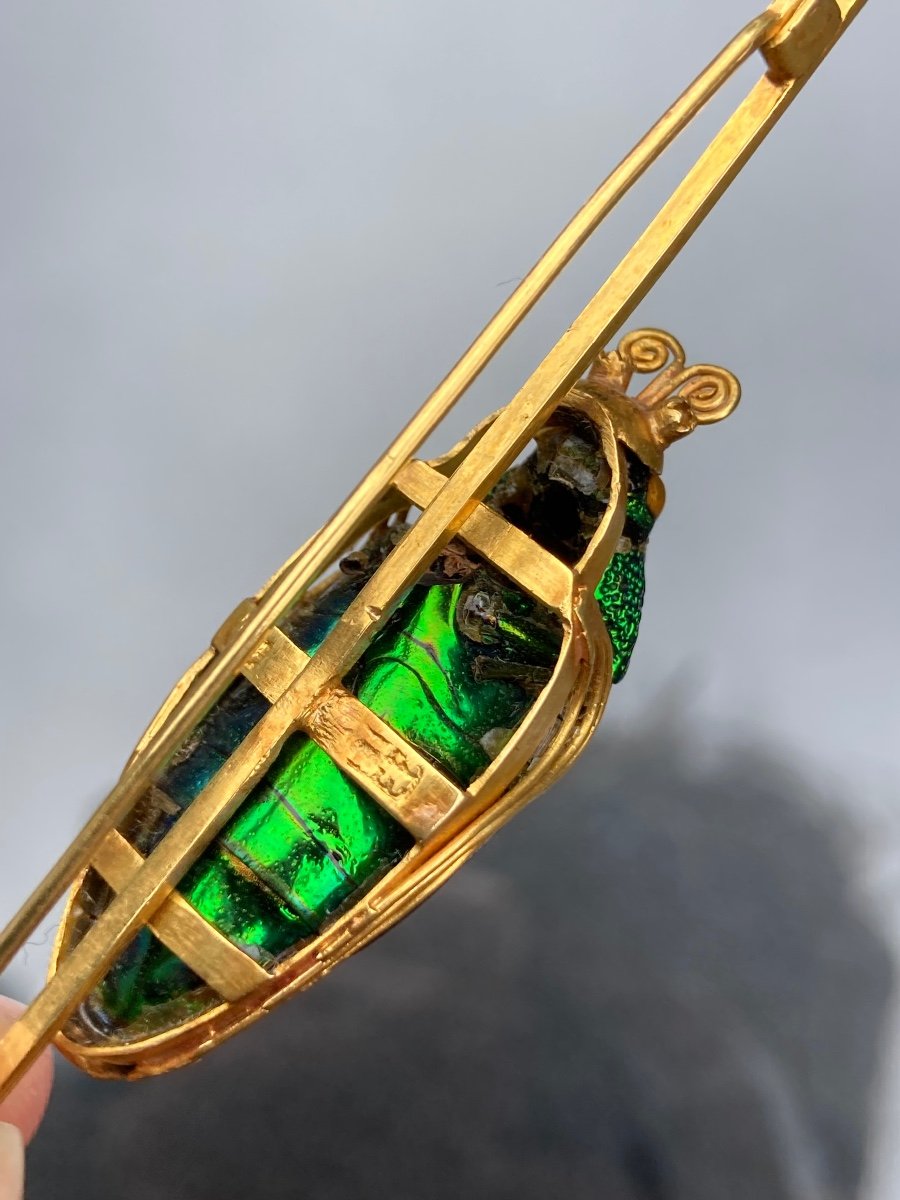 Gold Scarab Brooch -photo-2