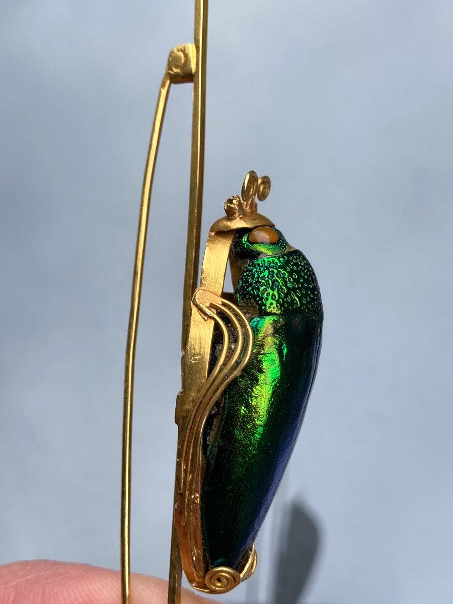 Gold Scarab Brooch -photo-3