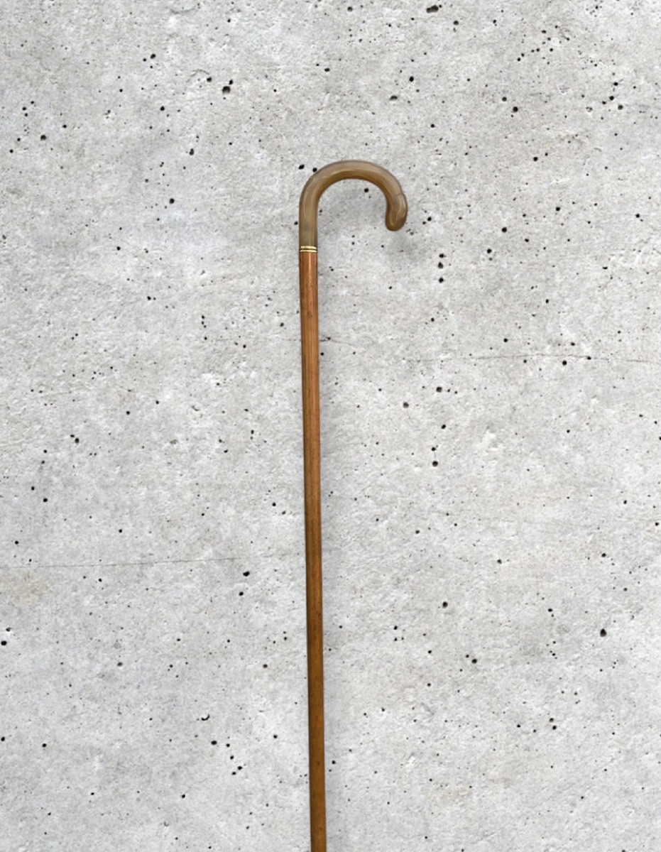 Curiosa 20th Century Sheep Horn Cane -photo-2